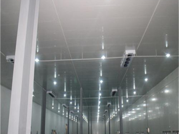 建造安裝食品低溫冷藏庫(kù)有哪些因素影響造價(jià)？